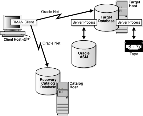 database oracle architecture rman figure server administrators docs 11g cncpt concepts