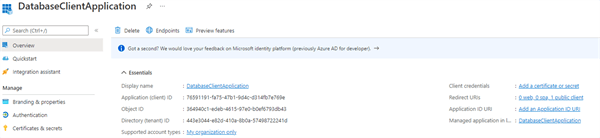 Application Client ID in Microsoft Entra ID
