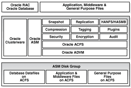 A storage-layer diagram showing an Oracle ACFS file system on an Oracle ADVM volume backed by Oracle ASM disk group storage.