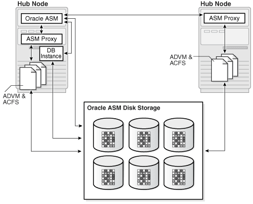 A diagram showing Oracle ACFS and Oracle ADVM accessing ASM storage through an ASM proxy instance on a Hub node.