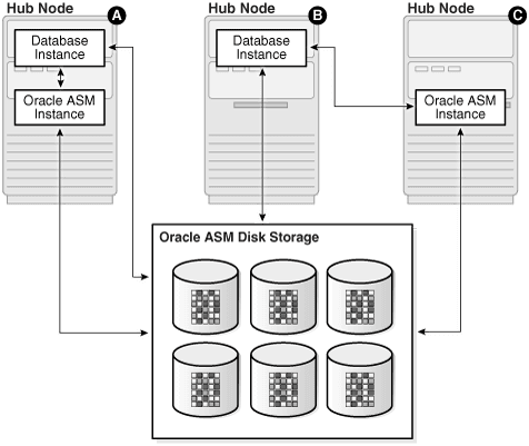 A diagram of local Oracle ASM clients accessing ASM storage directly, with database instances and an ASM instance on a Hub node.