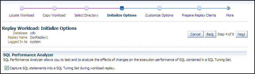 Description of dbr_replay_init_options.gif follows