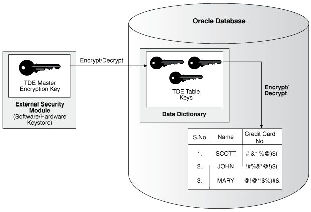 TDE column encryption overview