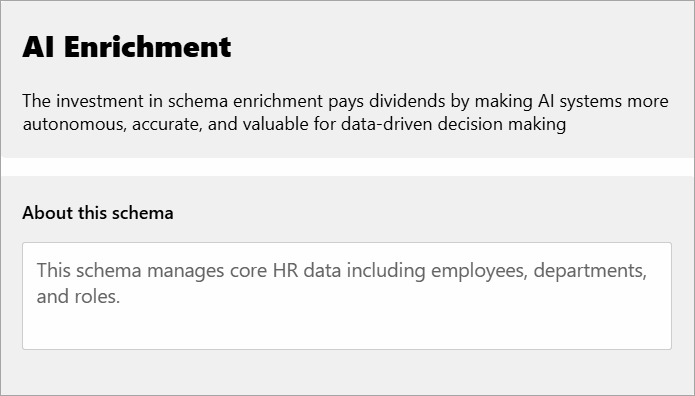The About This Schema field in the AI Enrichment Dashboard.