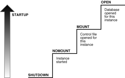 Description of Figure 16-3 follows