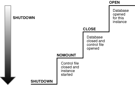 Description of Figure 16-4 follows