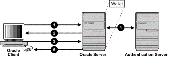 Description of image follows