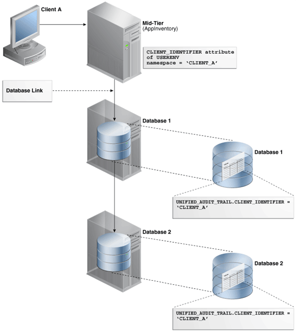 Auditing Client Identifier Information Across Sessions