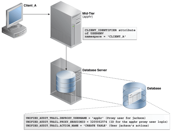 Auditing Proxy Users