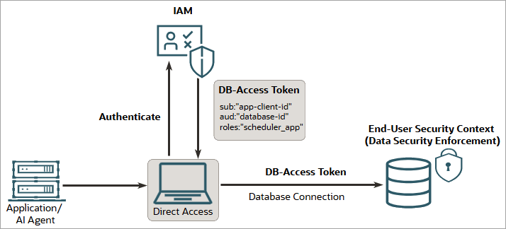 This images show the application direct logon scenario.