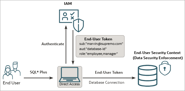 Deep Sec graphic showing direct logon using IAM.