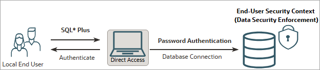 Deep Sec graphic showing a local end user's direct-logon authentication flow.