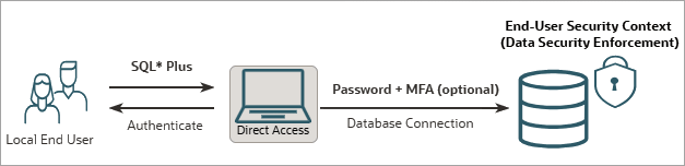 Deep Sec graphic showing a local end user's direct-logon authentication flow.