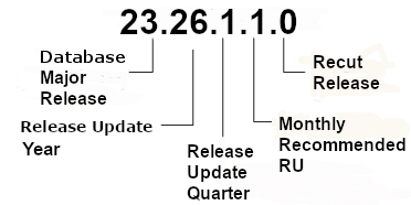 Description of Figure 1-1 follows Description of Figure 1-1 follows