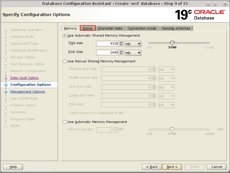 Configuration options. DBCA. DBCA Oracle. DBCA Oracle create database. Progress база данных.