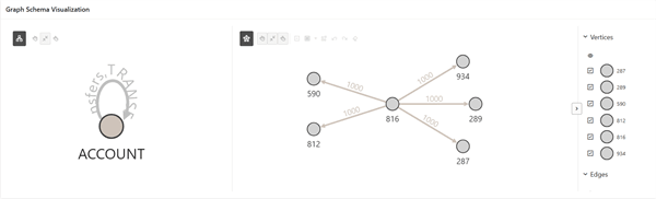 Graph Schema Visualization Description of image follows