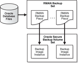 Description of Figure 4-1 follows