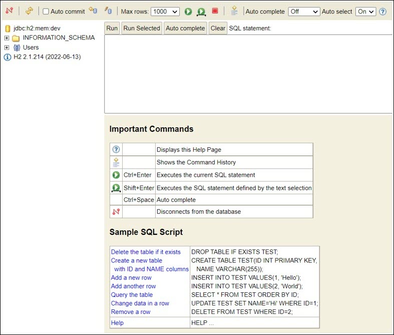 database console database console