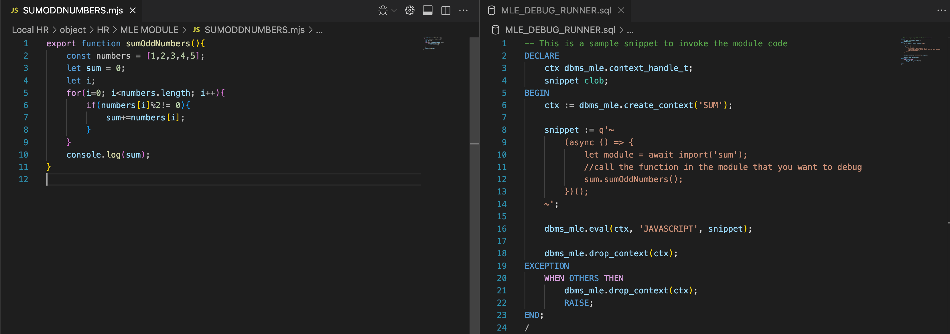 Description of mle_debug_runnerfile.png follows