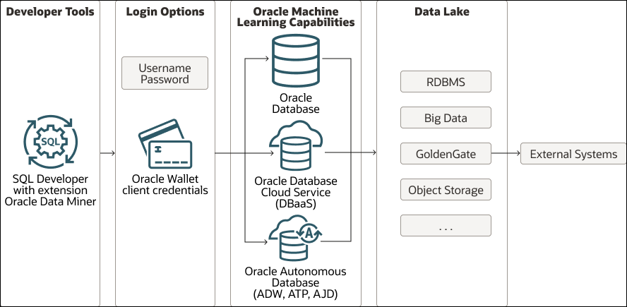 Oracle Data Miner Architecture