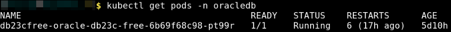 Database instance details