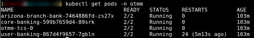 Status of pods in the otmm namespace