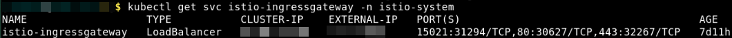 Public IP address of Istio ingress gateway