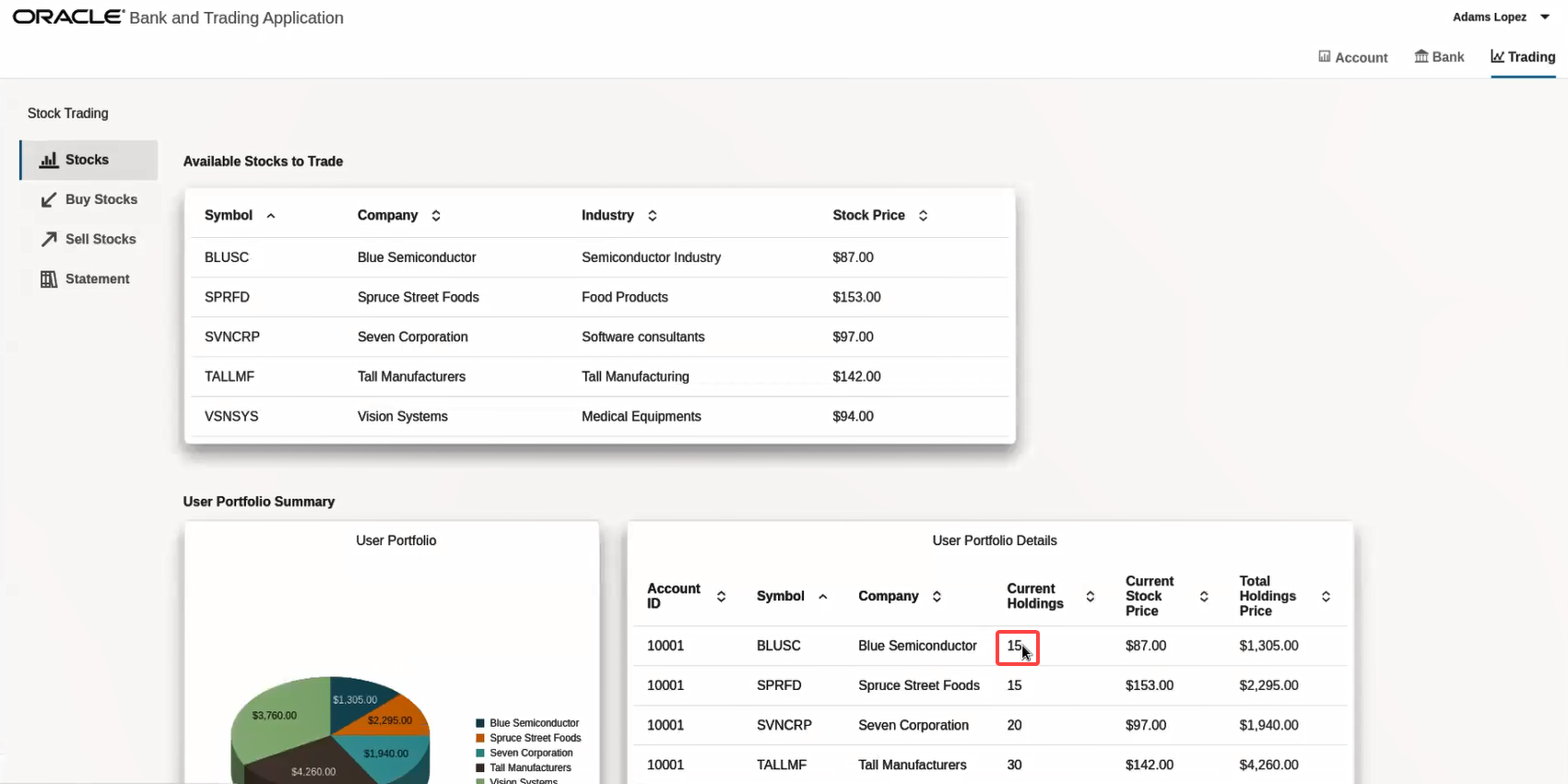 User Portfolio Details section