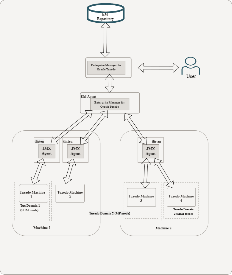 Remote Monitoring From Enterprise Repository Agent