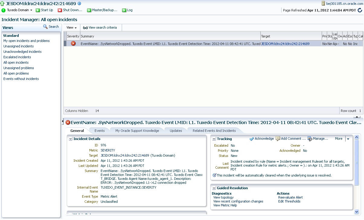 Incident Example Incident Example