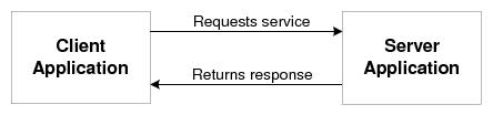 Describes the Client/Server Computing application.