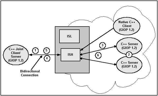 Bidirectional Connection Diagram