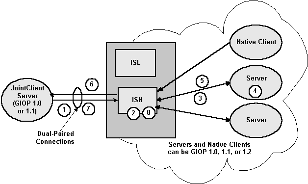 Dual-paired Connections Outbound IIOP Diagram