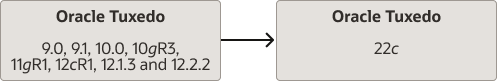 Upgrade Paths Diagram