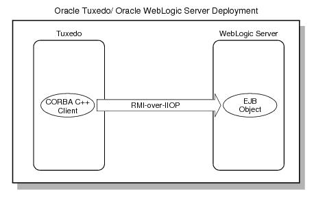 Describes the Direct EJB Connectivity Using RMI-over-IIOP and IDL Interfaces. Describes the Direct EJB Connectivity Using RMI-over-IIOP and IDL Interfaces.