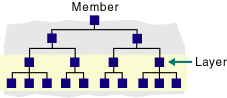 Hierarchy diagram with layer and the levels below layer selected.