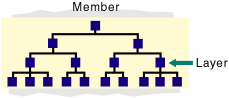 Hierarchy diagram with member, layer, and all other levels selected.