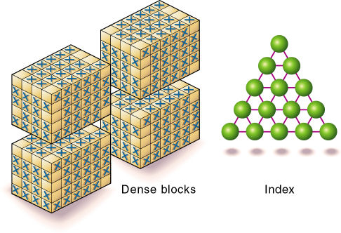 This image illustrates how using a combination of sparse and dense standard dimensions results in dense blocks and a relatively simple index, as described in the text preceding the image.