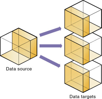 This image illustrates one data source with multiple data targets.
