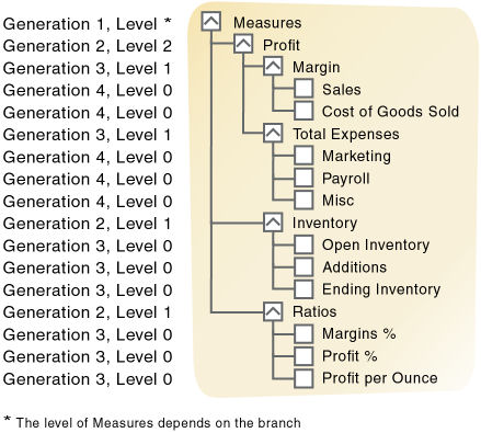 This image illustrates the roles and relationships of members in the outline, as described in the text that follows the image. The generation and level number of each member is labeled. The level of Measures depends on the branch.