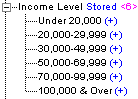 This image shows an outline of the Income Level stored hierarchy dimension, with two levels.