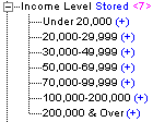 This image shows a child member added to Income Level. The effect of adding a child member is described in the text preceding the image.