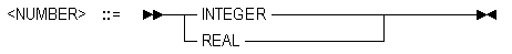 INTEGER or REAL.