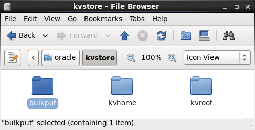 BulkPutExample.java file in the File Browser