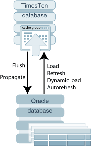 Description of Figure 2-3 follows