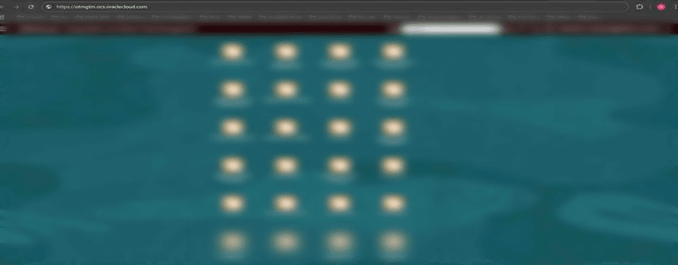 OTM Environment OTM Environment