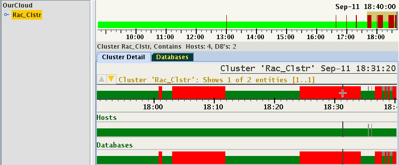 This image illustrates number of hosts and databases in this cluster