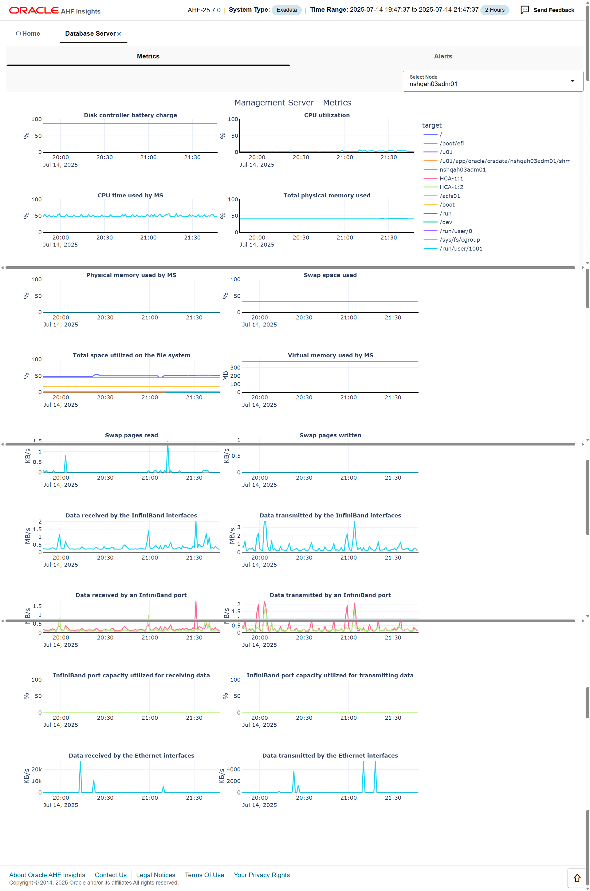 This page showcases Management Server metrics.