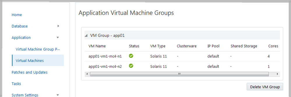 image:A screen shot showing the application virtual machines                             page.