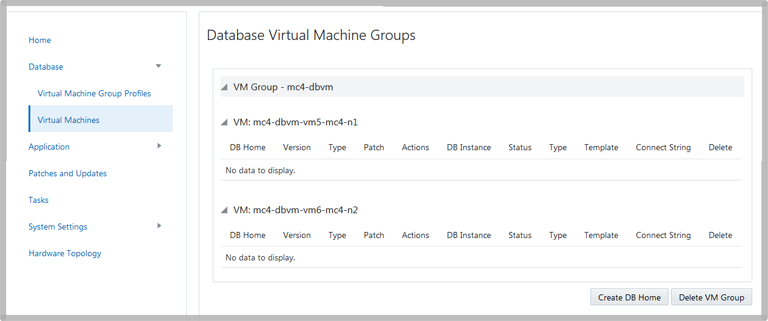image:A screen shot showing the DB VM Group Summary page.